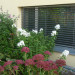 Jalousien und Storen